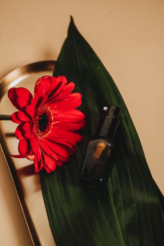 Gerbera roja sobre una hoja verde junto a un frasco