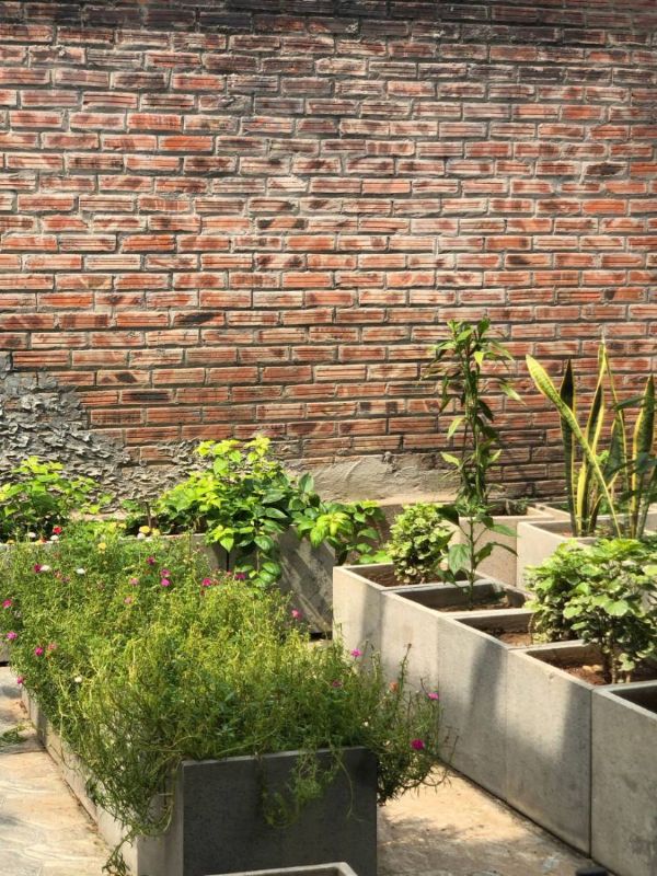 Aiuole rialzate con piante accanto a un muro di mattoni