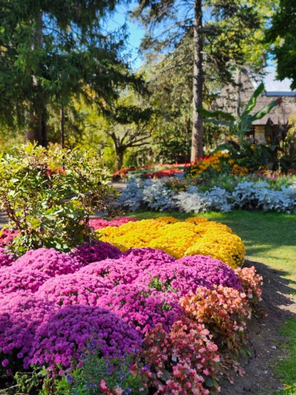 Colourful flowerbeds