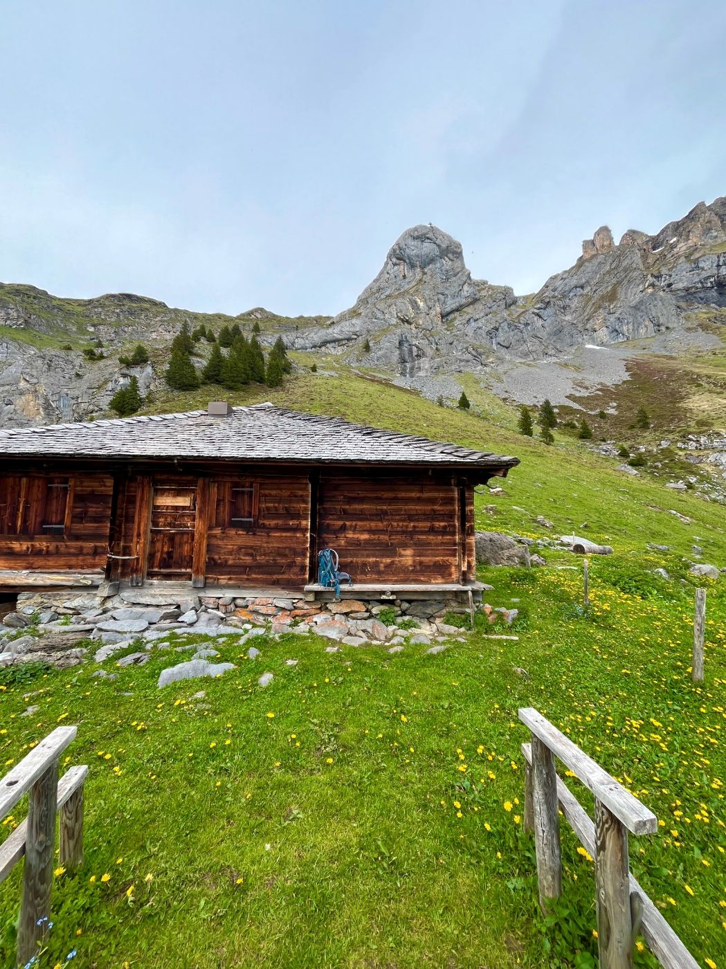 Cabaña de madera en un prado alpino con montañas al fondo