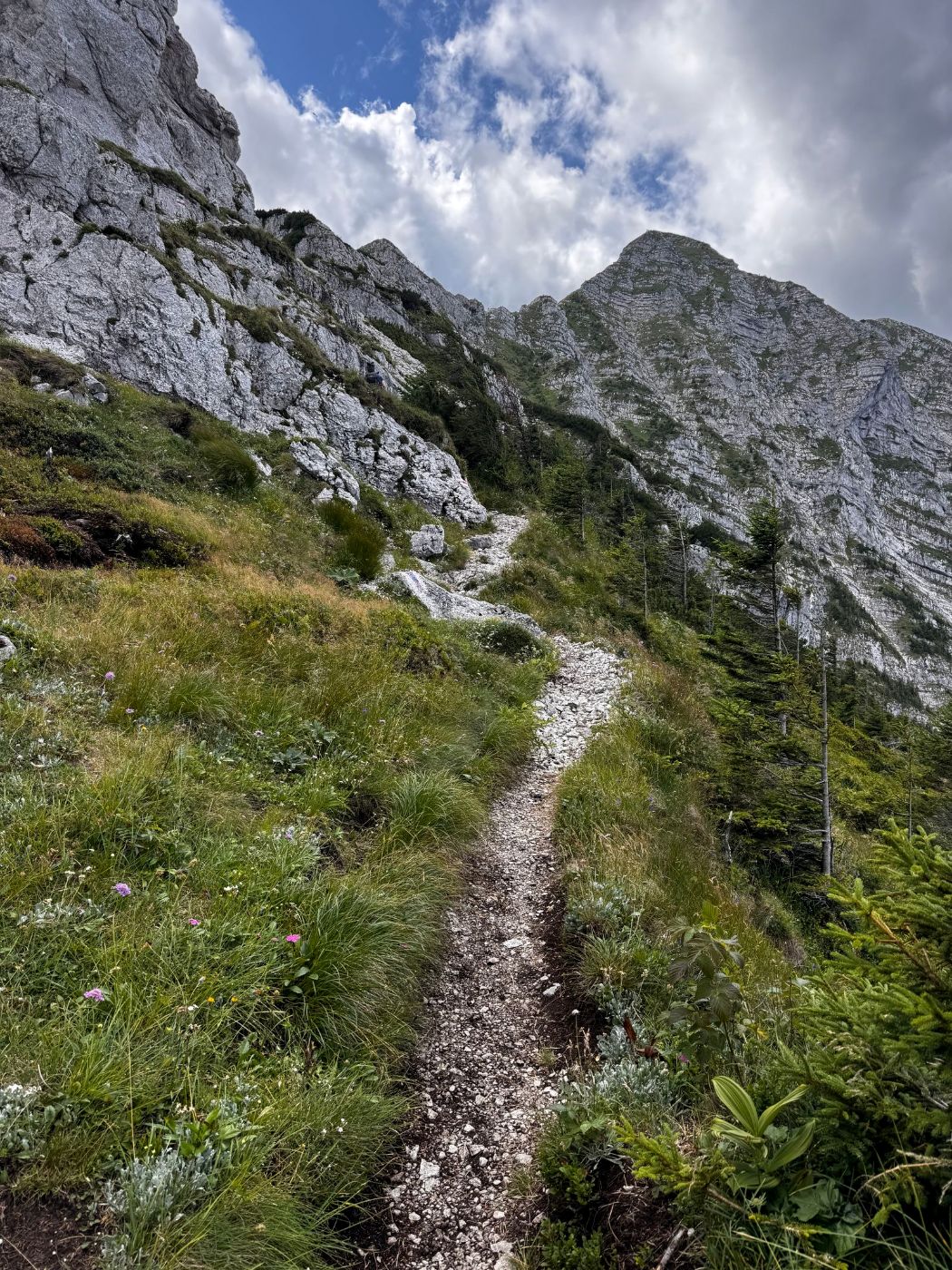 Sendero de montaña de grava entre hierba y rocas