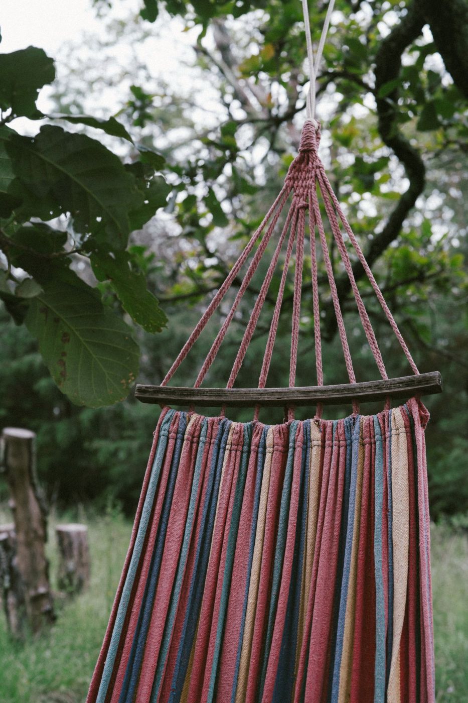 Hamaca de colores colgada entre árboles en un bosque