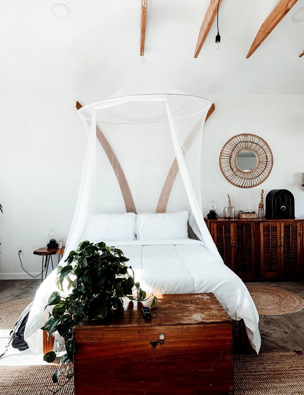 Cama con dosel blanco y planta