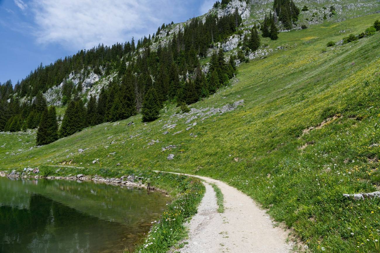 Sendero junto a un lago de montaña