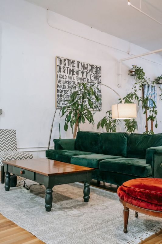 Salon avec canapé en velours vert foncé et plantes