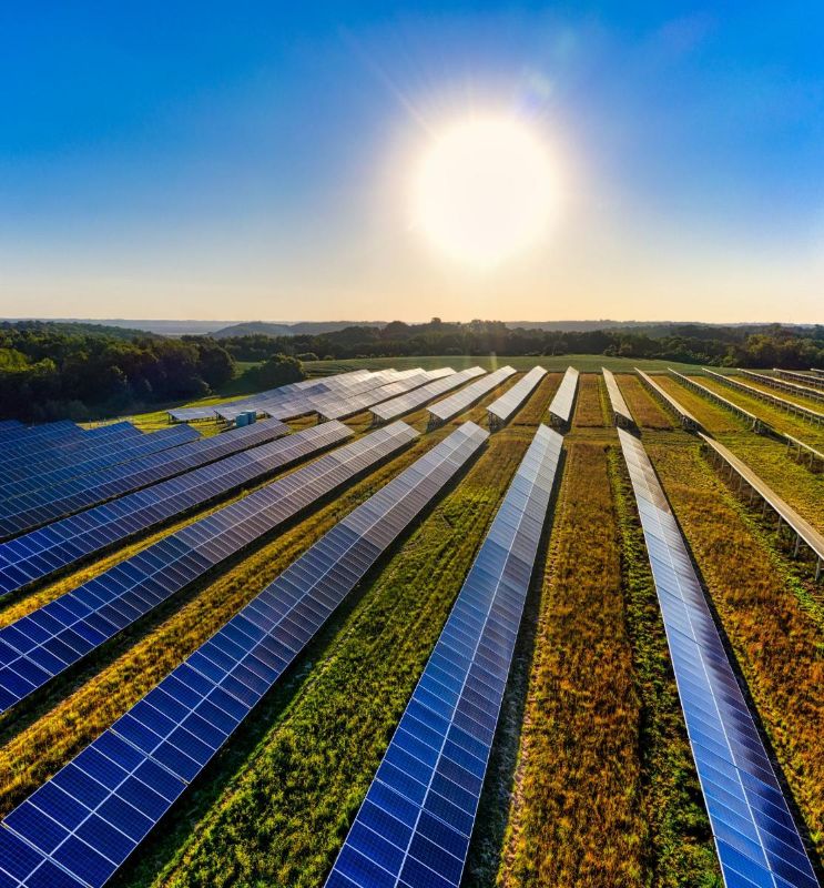 Field of modules with a low sun