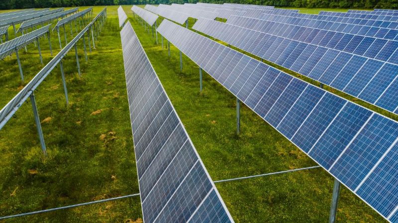 Filas de módulos fotovoltaicos sobre hierba