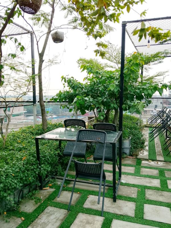 Azotea con plantas y mesa con sillas