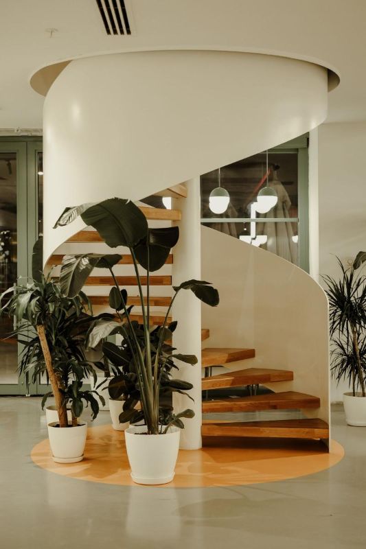 Escalera de caracol con peldaños de madera y plantas